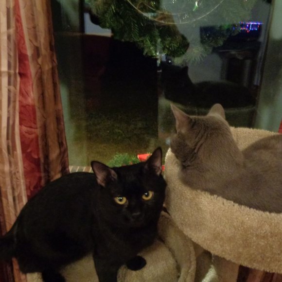 Welcome to my Large eclectic closet - Picture 6 of 10